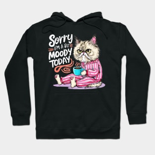 sorry im a bit moody today Hoodie